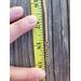 Chain end of the necklace against a tape measure. Necklace measures 18 inches with 1-inch extender. 